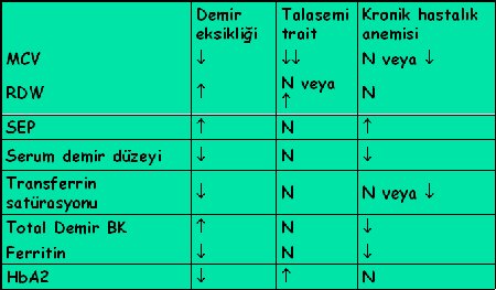 Demir Eksikliği Anemisi 5