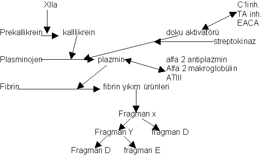 hemostaz 4